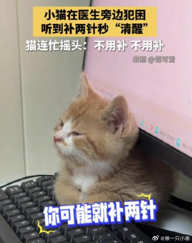 #小猫听到补两针秒清醒#网上刷到超萌的名场面，小猫原本趴在宠物医院的桌边昏昏欲睡，眼皮耷拉着脑袋一点