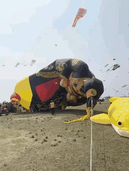 🤯万物皆可飞——只有想不到，没有飞不了