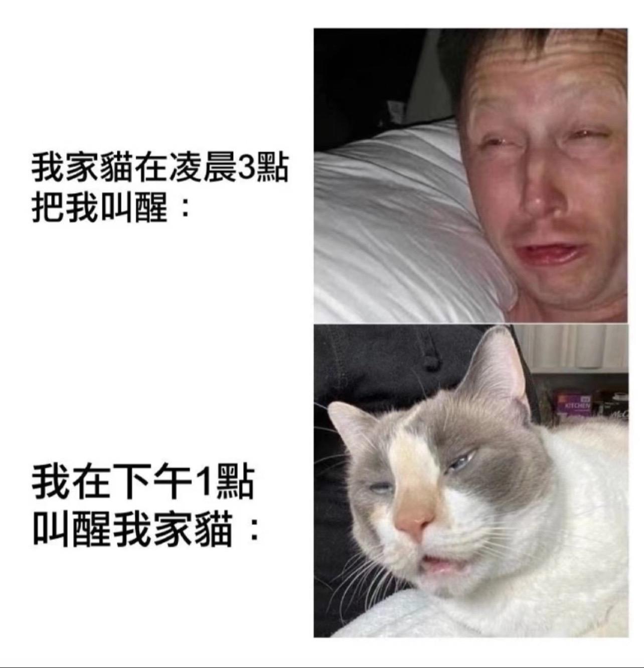 一样的状态