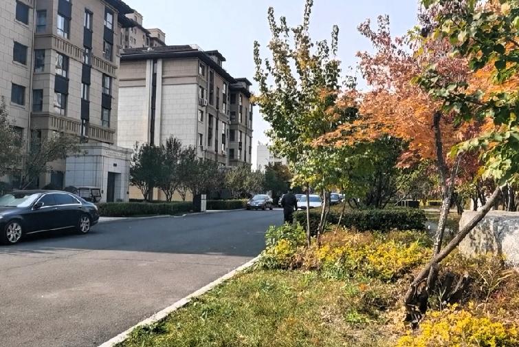 全国楼市上涨开始了吗现在网上畅谈楼市上涨的声音越来越强你准备好买房子吗