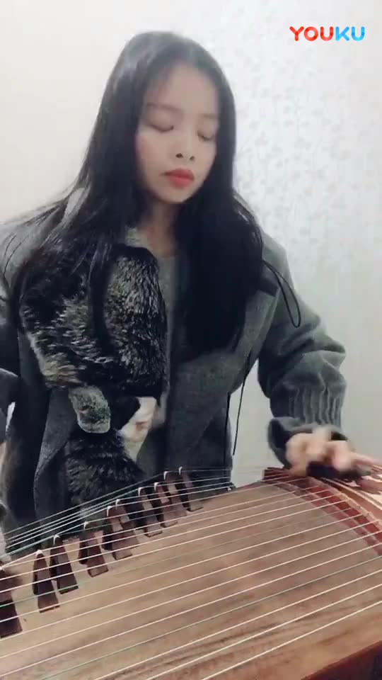 古筝伴奏梅花三弄曲谱_梅花三弄古筝曲谱(3)