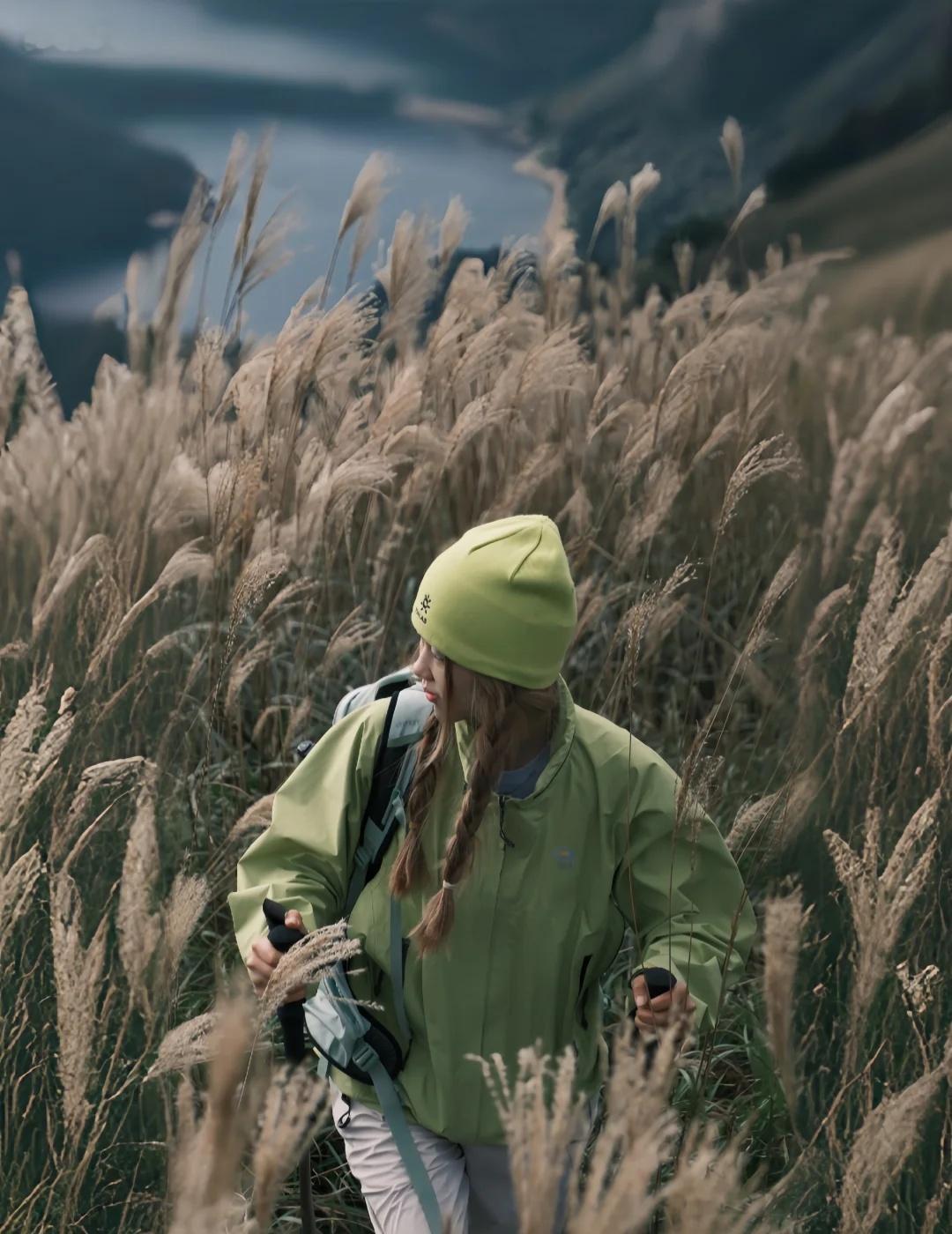 浙西天池|闯入江浙沪秋季顶配版芦苇荡🍂总有些地方能把一个季节描绘得具体对于