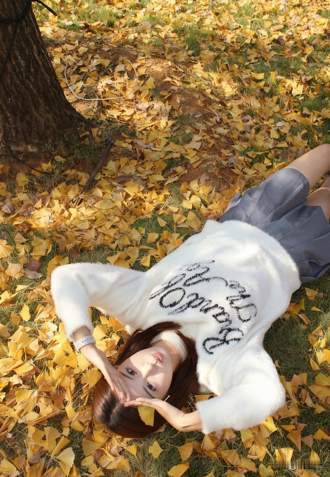 秋季的拍照圣地银杏树下