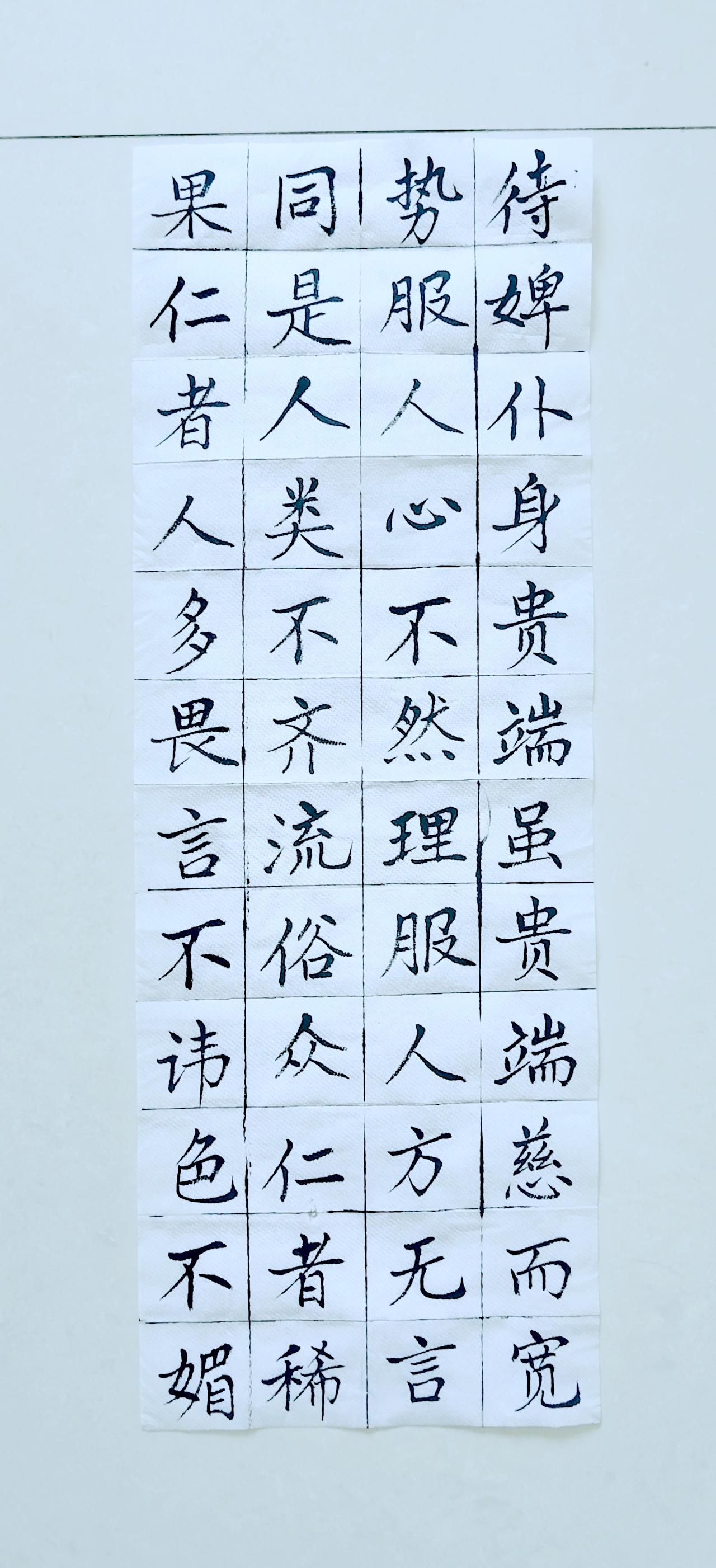 第四十二天《弟子规》（19）楷书练习！毛笔楷书练字楷书行楷临摹弟子规书法