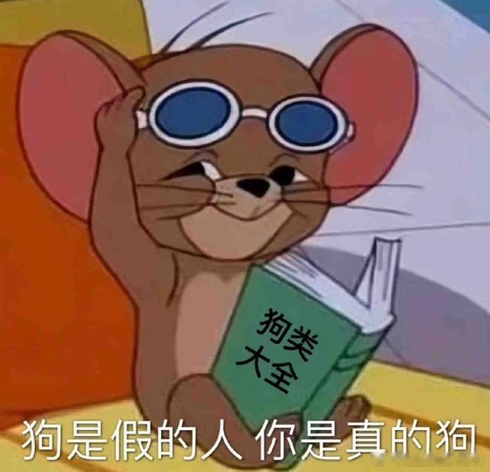 十二星座感情里的软肋：白羊：怕热情被冷落金牛：怕付出被辜负双子：怕相处太乏味巨蟹