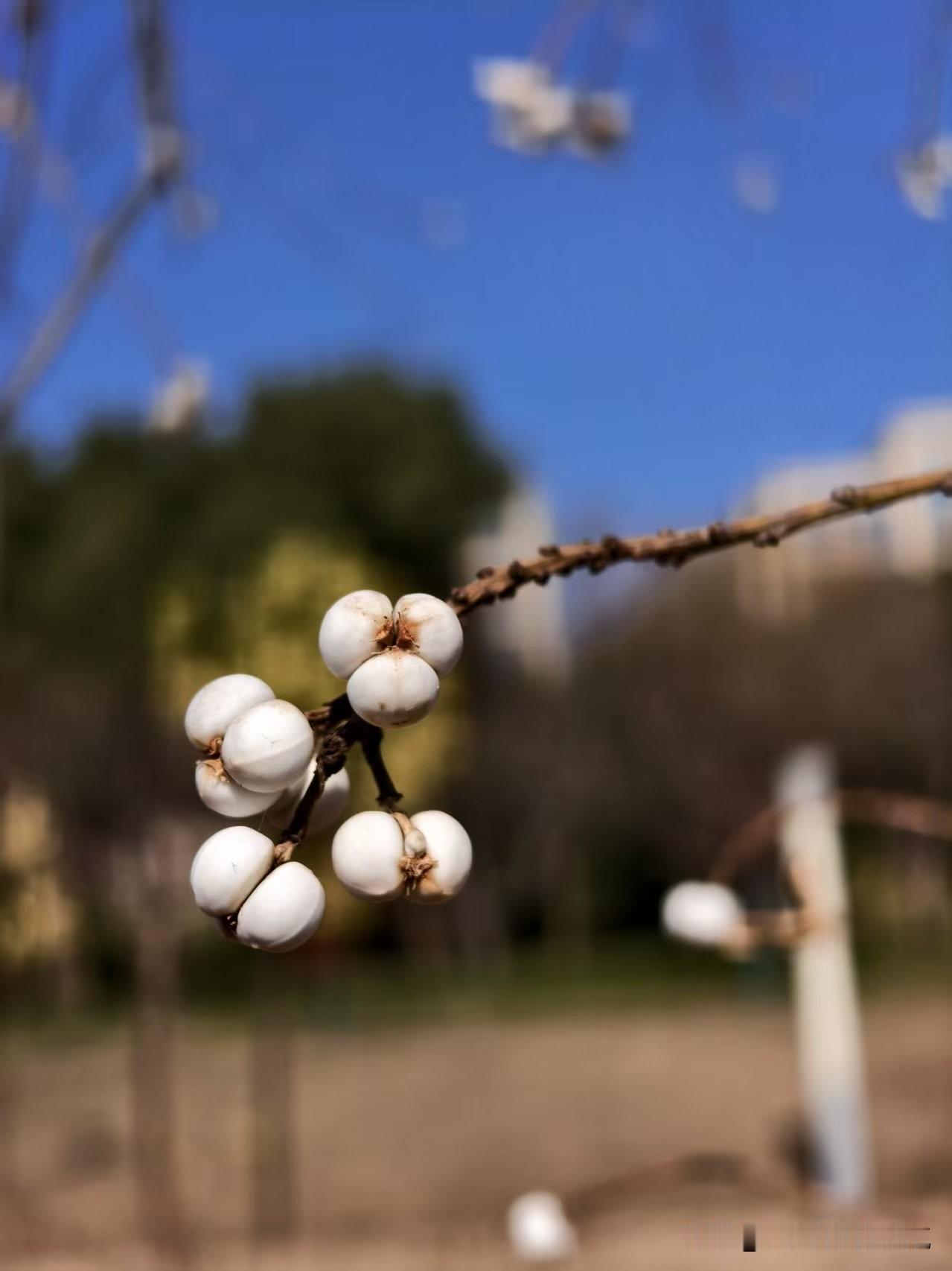 段永平说：你炒股是炒不赢梁文峰的。2025年幻方量化基金平均收益力达到50%以上