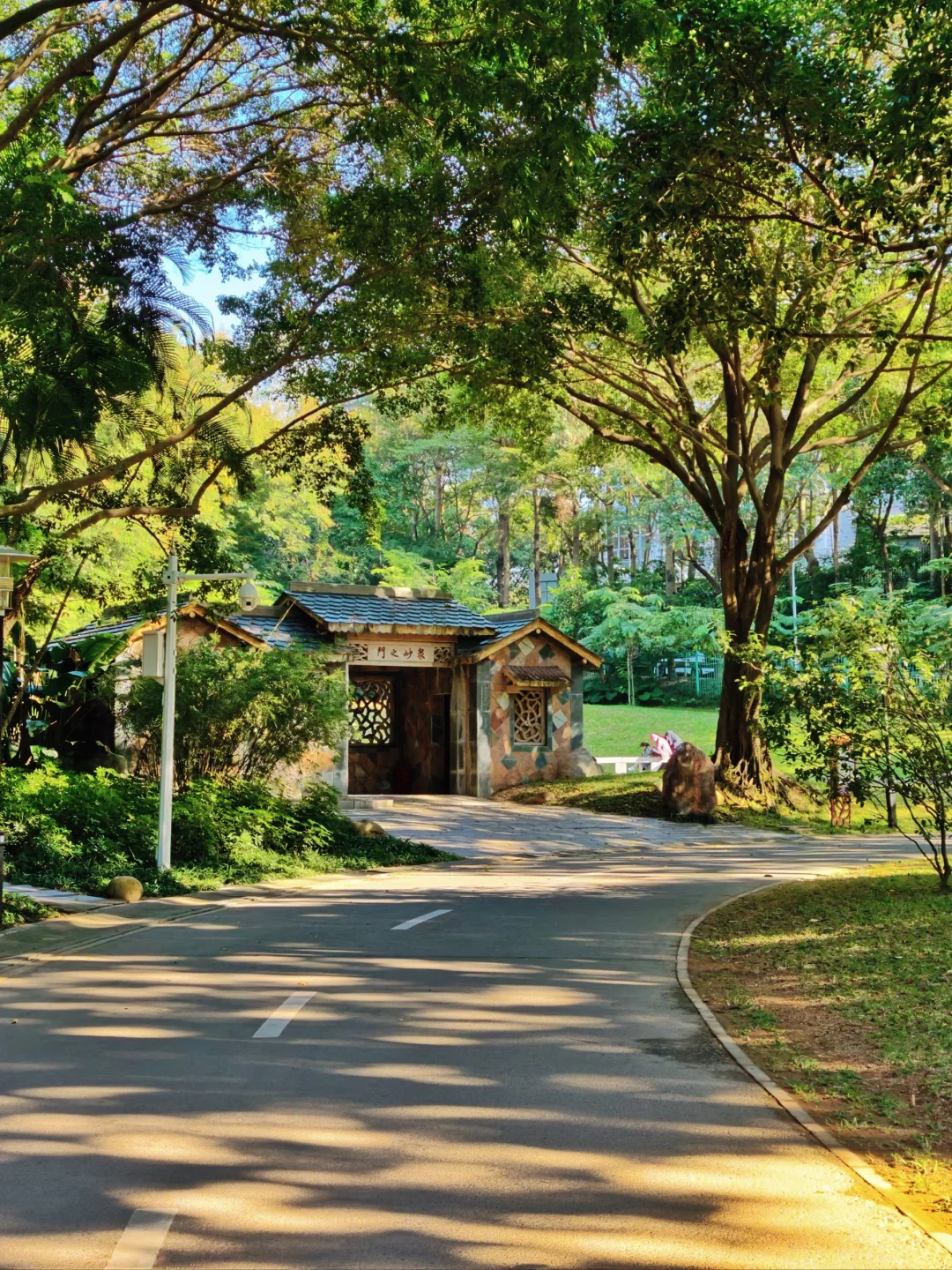 看完三角梅先别撤‼️深圳园博园一日游附路线