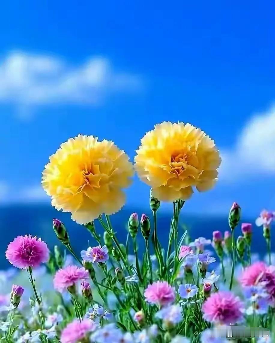 人到老了才明白，兄弟姐妹的感情取决于3个人，别不信事实如此人到老了才明白，兄