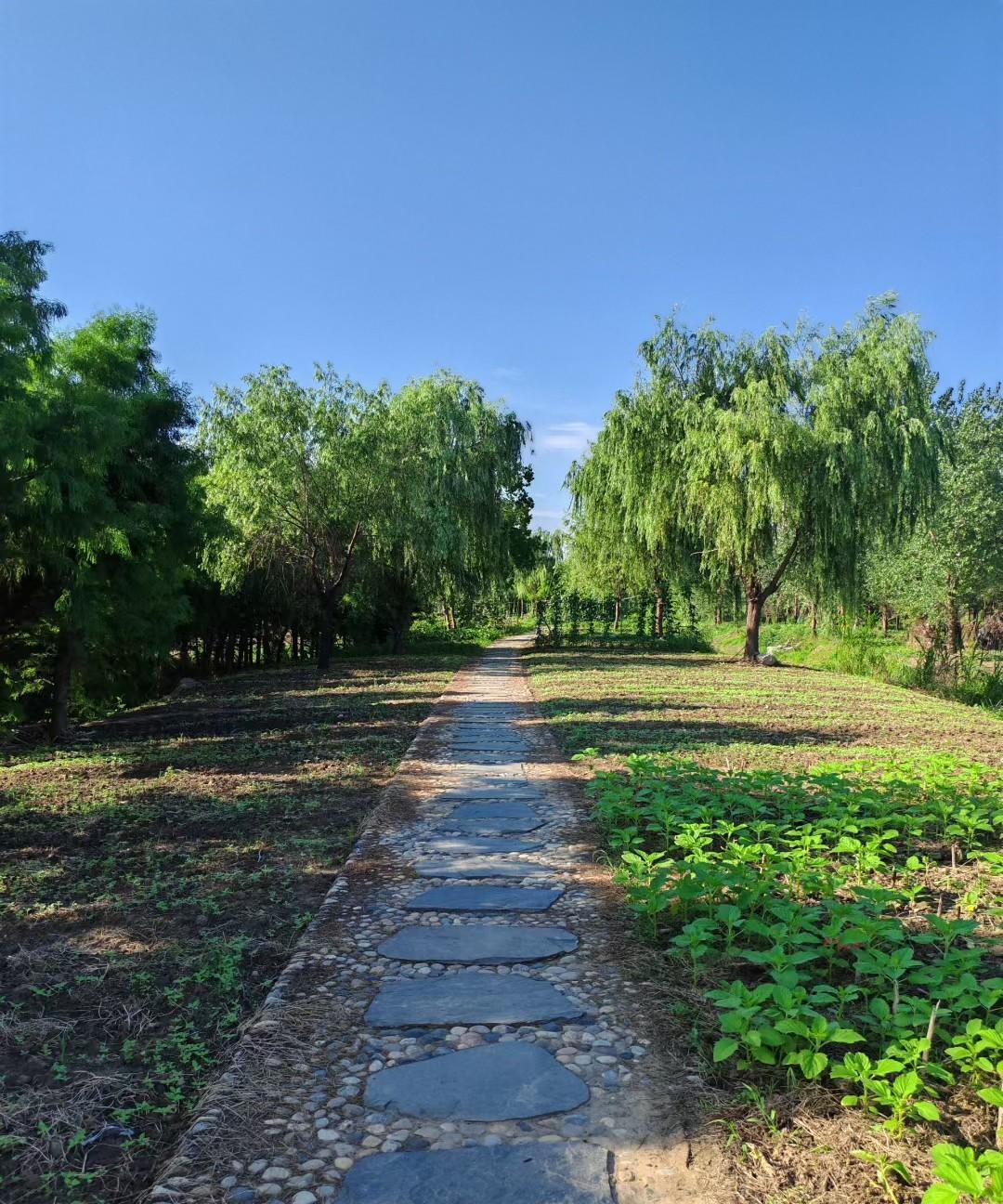 人心永远捂不暖我老姐帮着照顾她老公那边的侄子，也就是老公弟弟的孩子，因为她老公