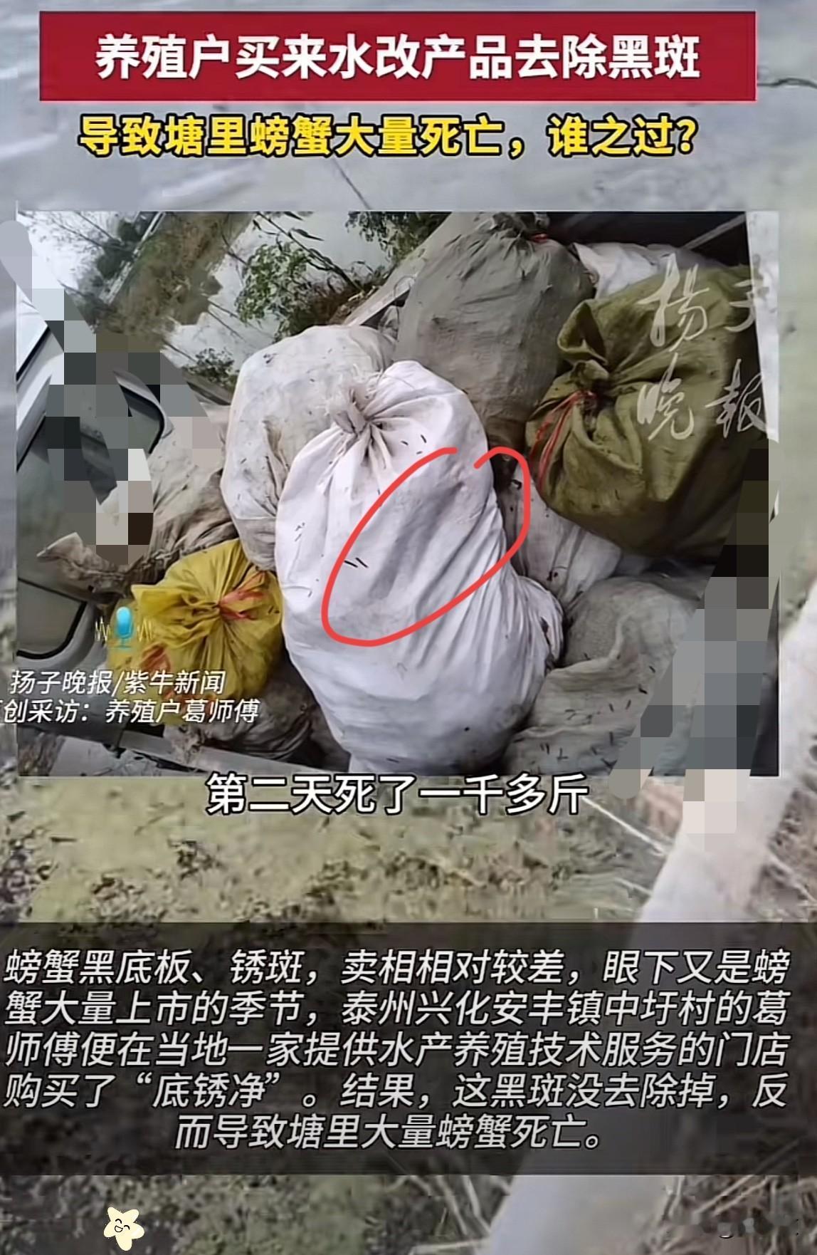 “严查到底！”1江苏泰州，一男子为了去除螃蟹黑底板、锈斑，卖个好价钱，就买了2桶