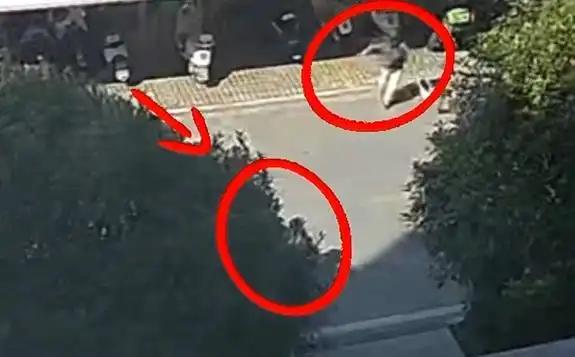 江苏南京，4岁幼童在封闭小区内玩耍，一辆家电品牌的第三方配送车以时速41-43公