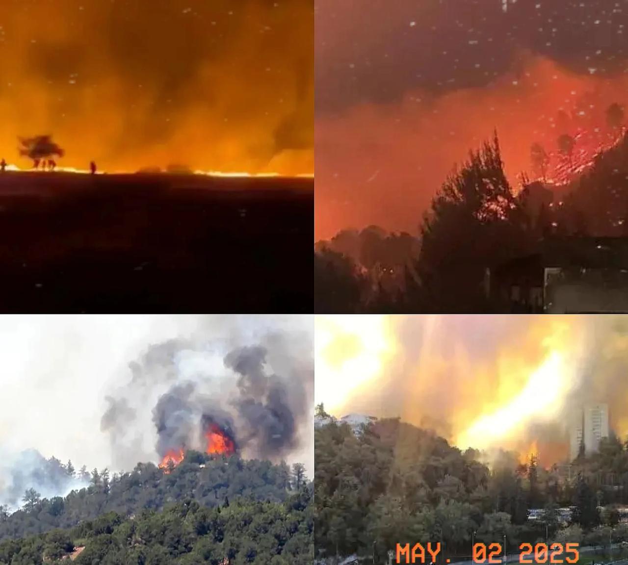 打蛇打七寸，以色列被戳中肺管子了!一场山火让以色列哭爹喊娘!以色列山火爆发，