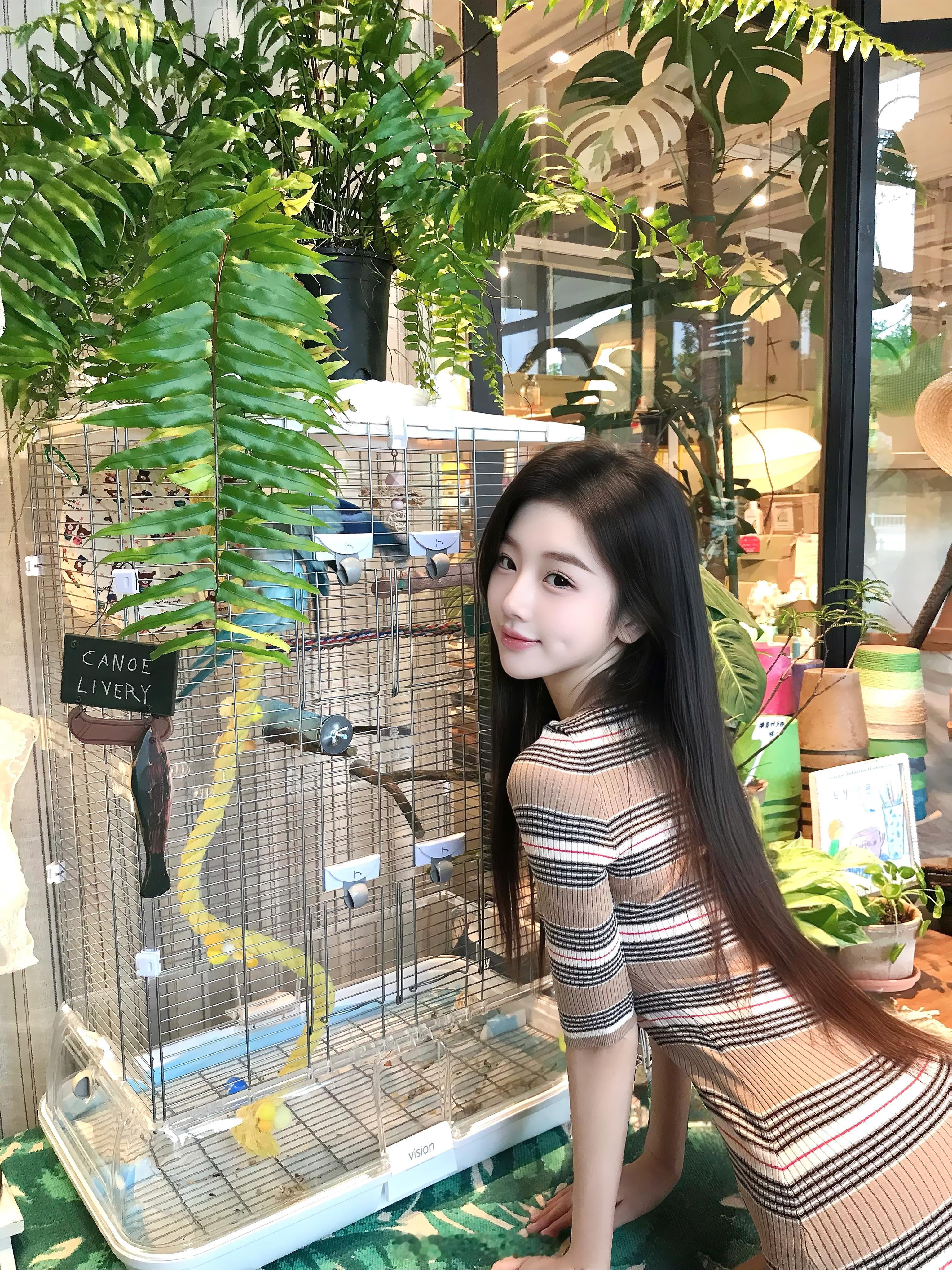 今天的风很柔软🍁​​​