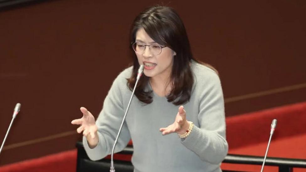 郑丽文访陆顺序反复横跳，藏猫腻？访陆还是捞资本？早被看穿了！她的副手