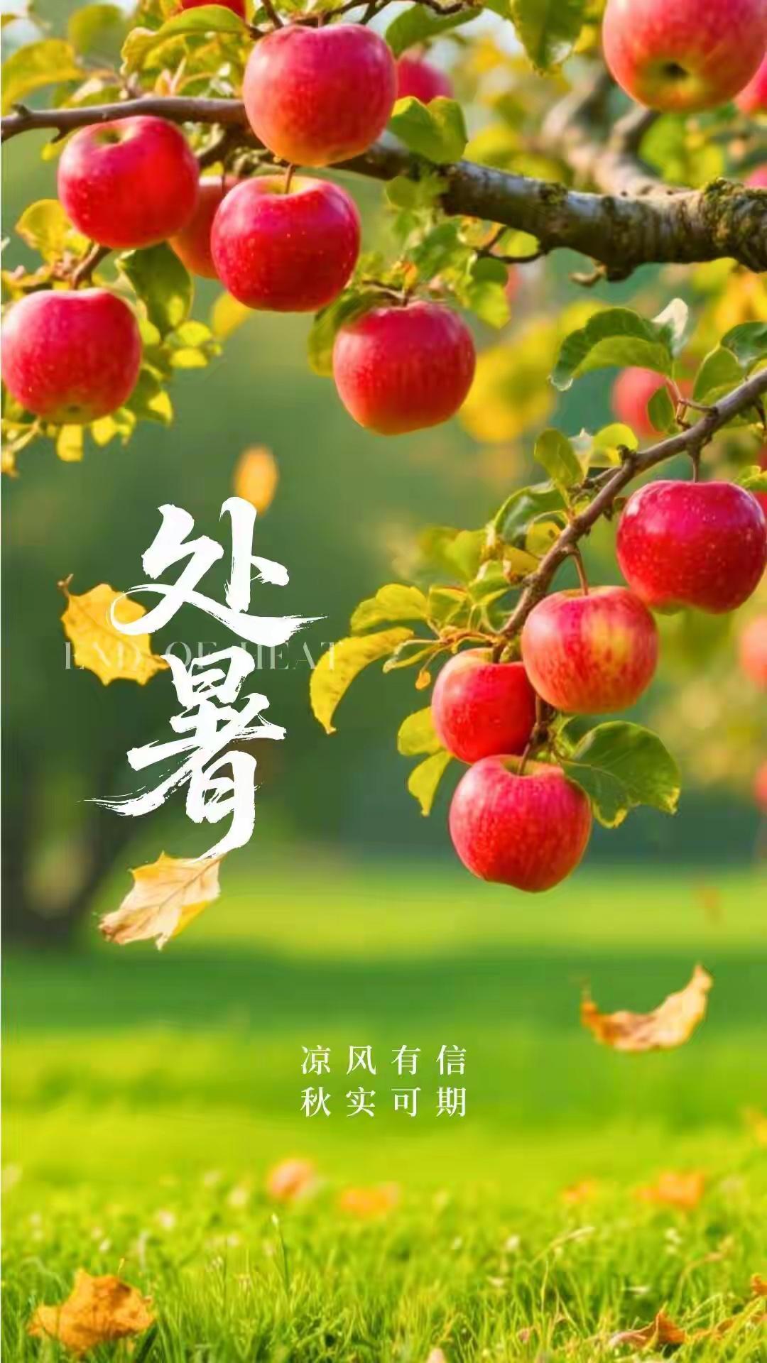 处暑必吃十大食物：明天就是处暑了一、梨子：俗话说得好，“日食斤梨不为多”，“一