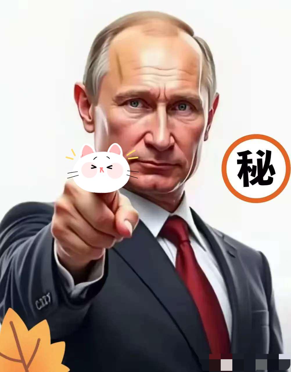 就在刚刚俄罗斯外交部正式宣布11月12日，俄罗斯外交部正式宣布，针对日本参与