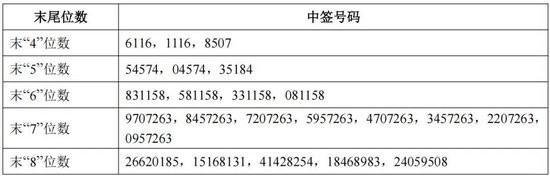 国产GPU新股中签号出炉! 国家级基金及中国电信等参与战略配售