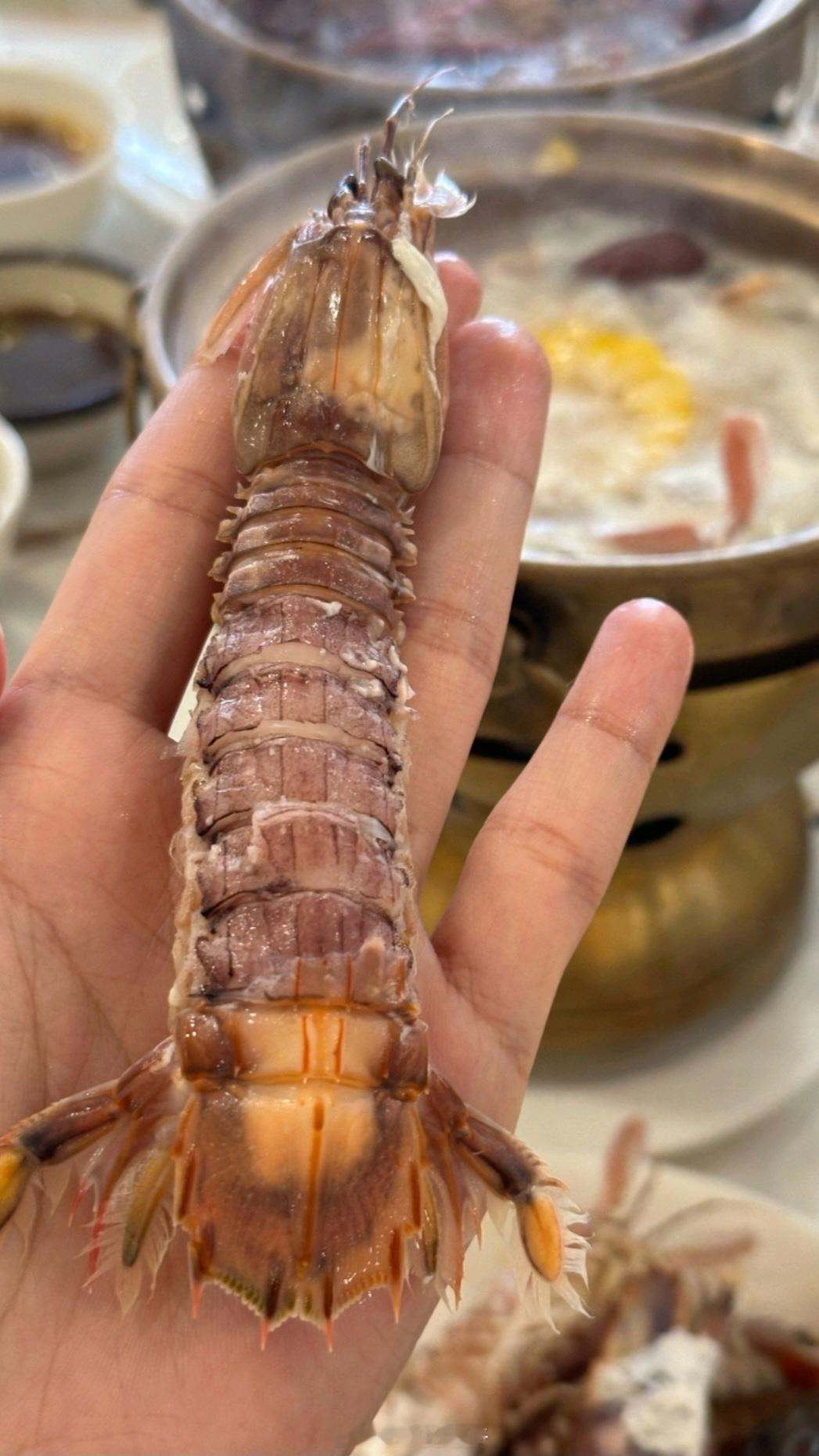 市监局称4只皮皮虾1035元价格合规帝王蟹也叫螃蟹，不能说一只普通螃蟹卖好几百吧