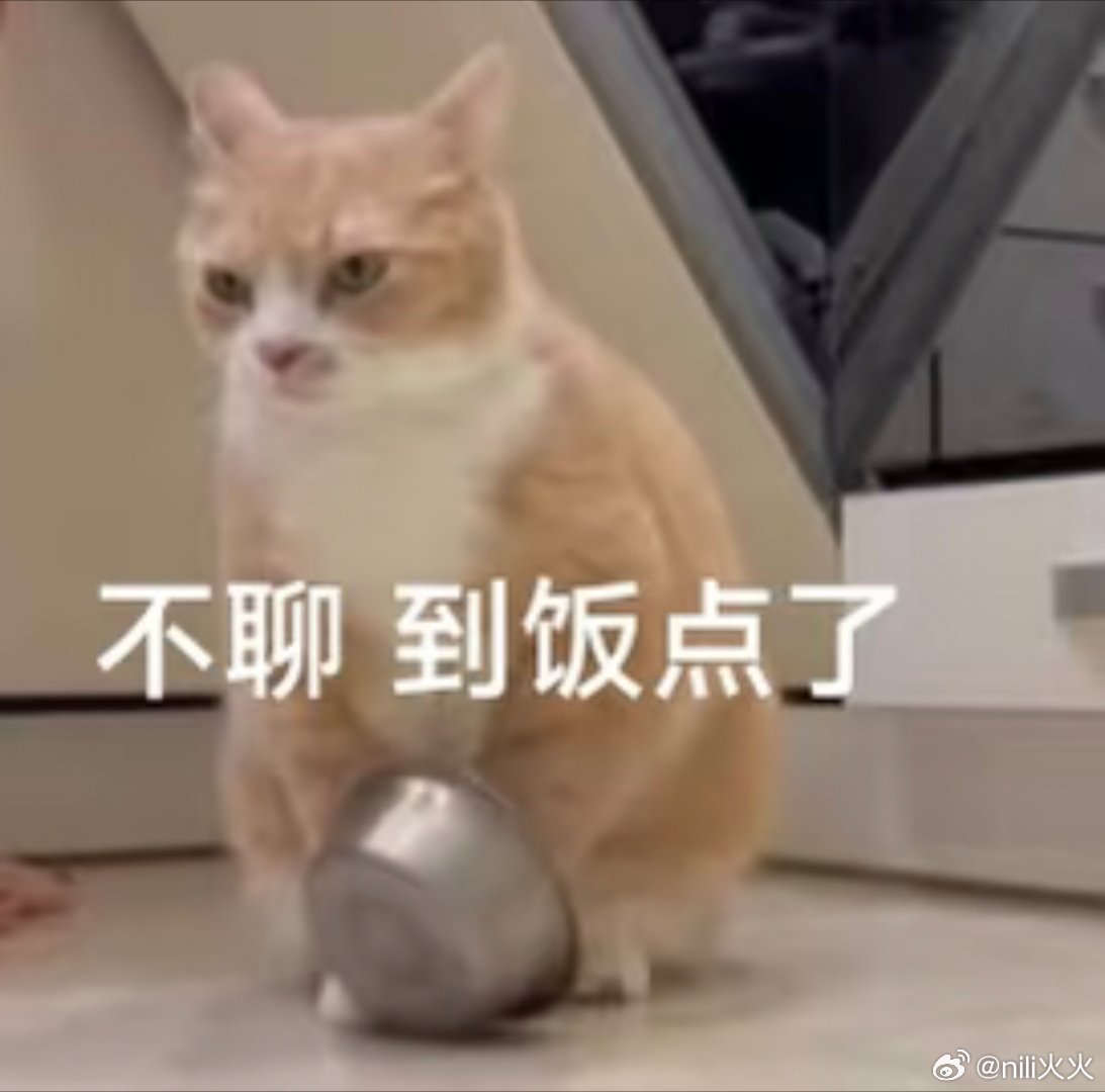 饭点了！你晚上吃啥？晚上这顿得吃好，不然会做饿梦...