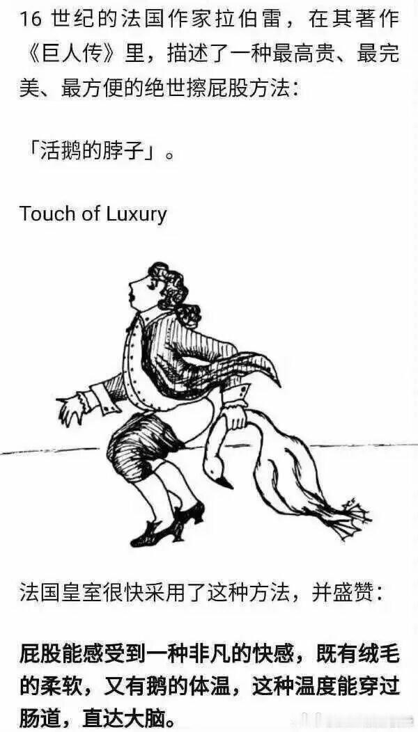 鹅：？？？？？？