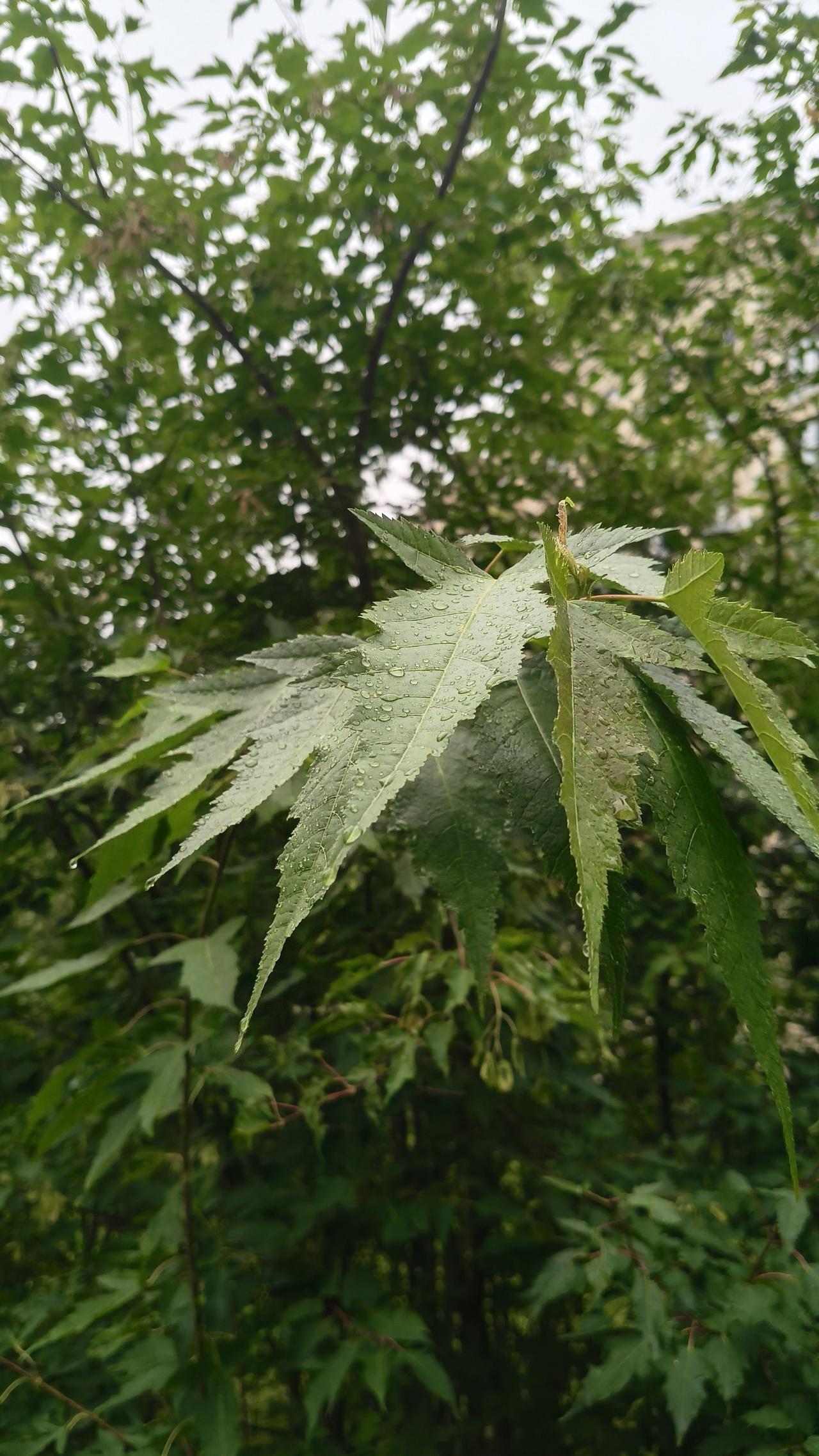 都可以提升正能量，元气满满