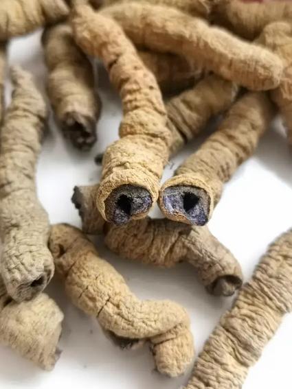 一种能“通阳”的药草，针对阳痿、早泄、性功能衰退，很多人不熟悉！今天咱们来聊