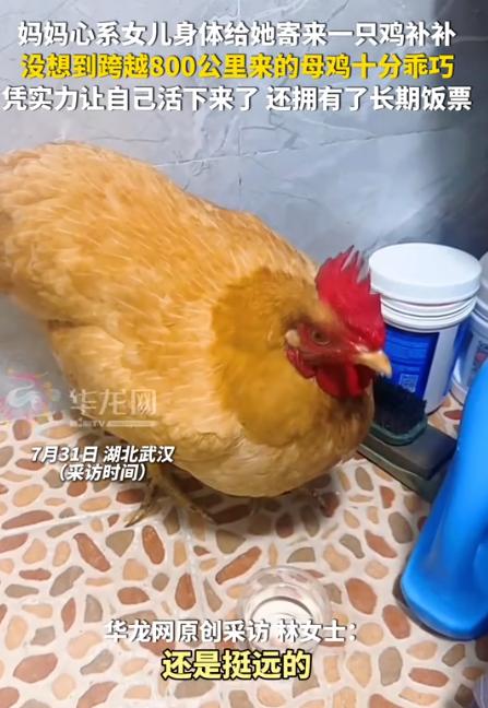 笑不活了！8月1日南方都市报报道，湖北武汉一女子，因为贫血，妈妈心疼得不行，特意