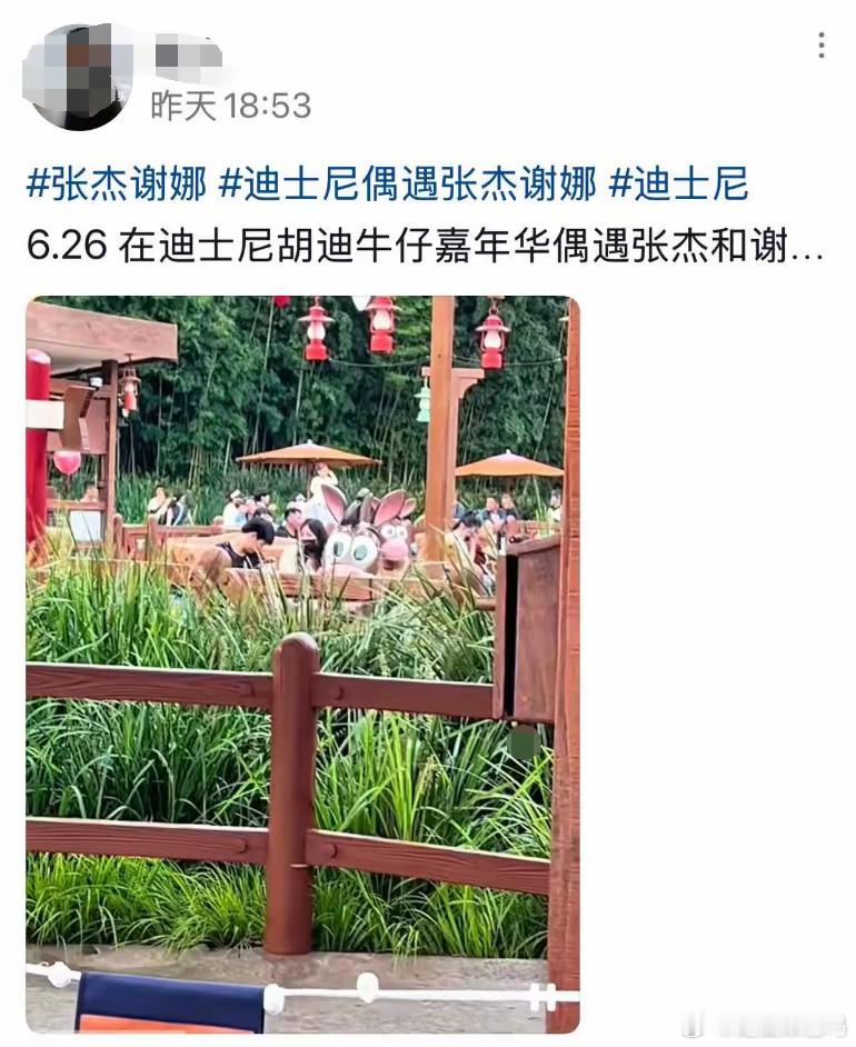张杰谢娜携女儿同游迪士尼，4岁小咘芽坐爸爸肩上看演出曝光正脸！！！​​​
