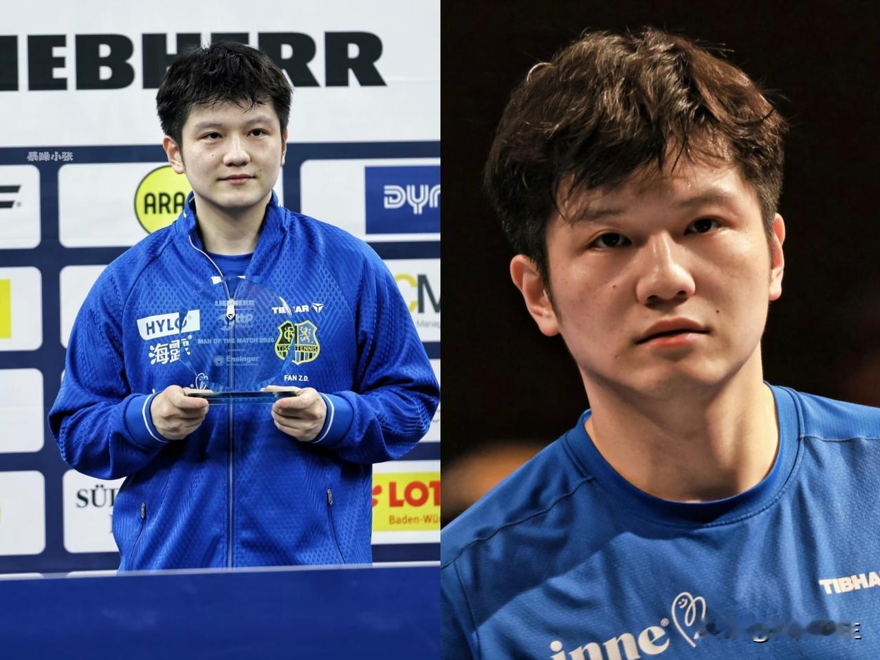 说实话，樊振东在德国俱乐部那是真风光！球迷爱，赞助商抢，连带着整条街的中餐馆