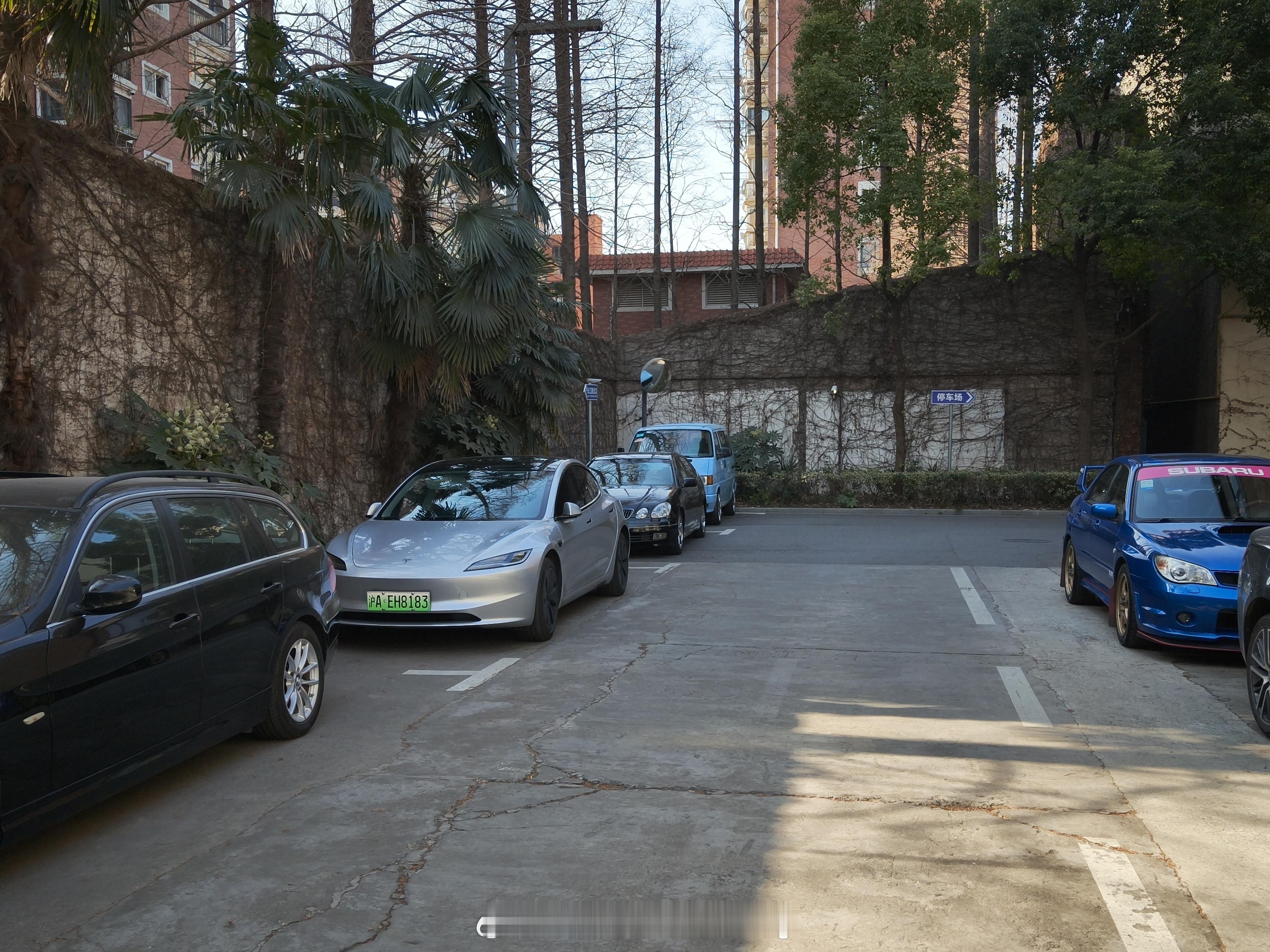 小汽车品味这一块