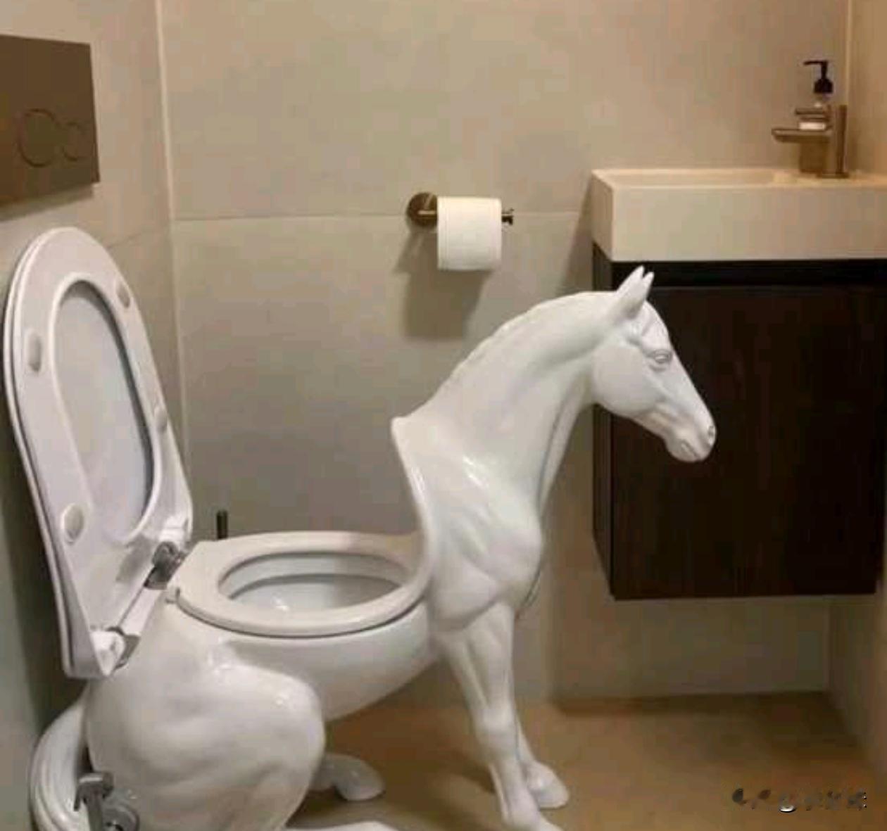 不得不说，这才是“真”马桶