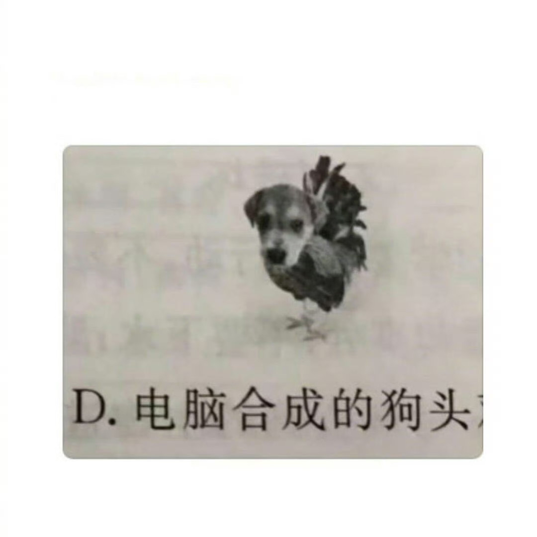 优雅，实在是优雅