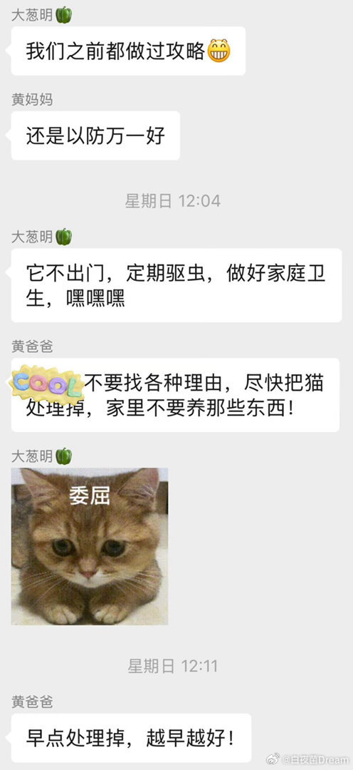 30多岁养猫被下最后通牒送走猫