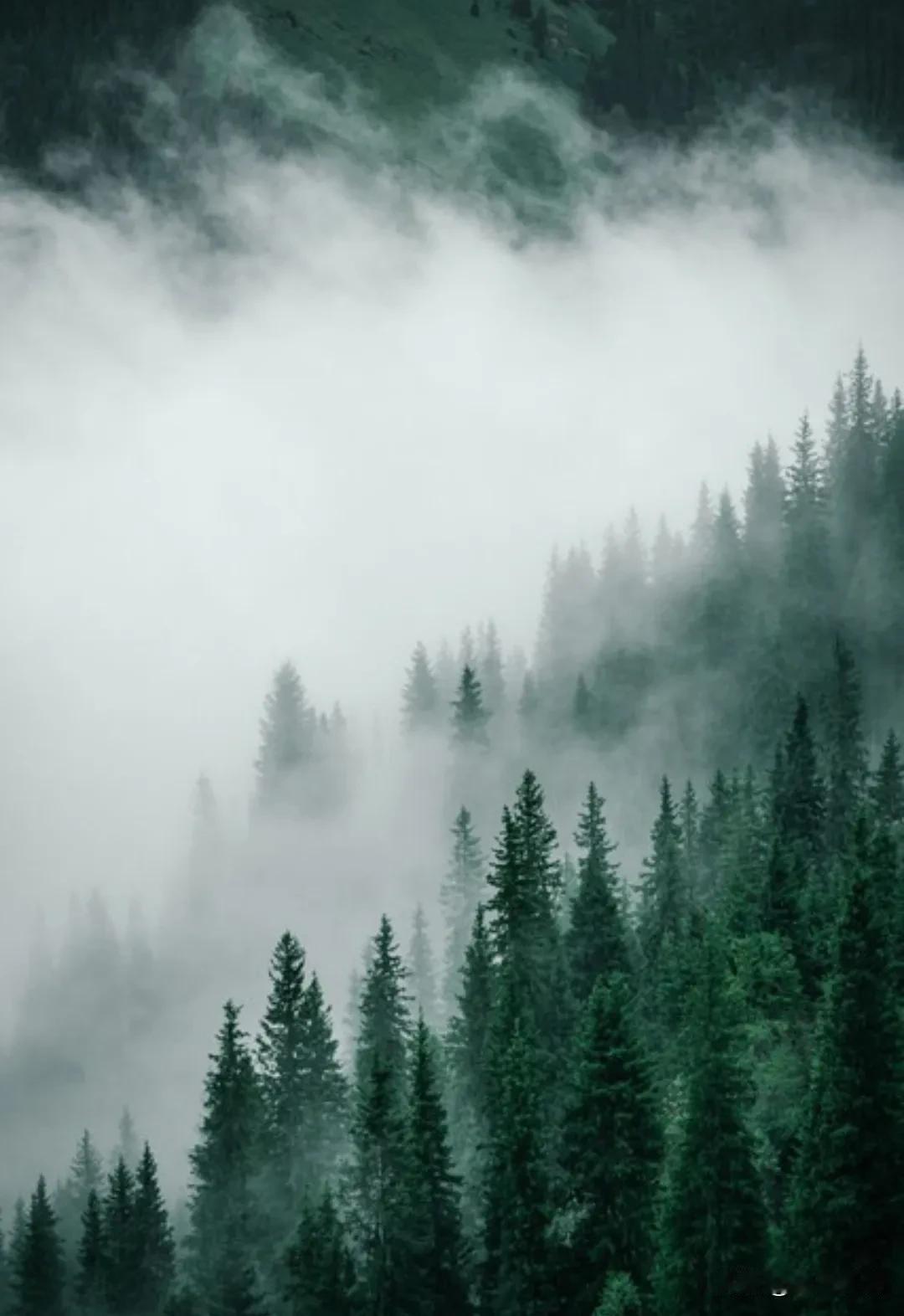 很喜欢村上春树的一句话：“不必太纠结于当下，也不必太忧虑未来，当你经历一些事情后