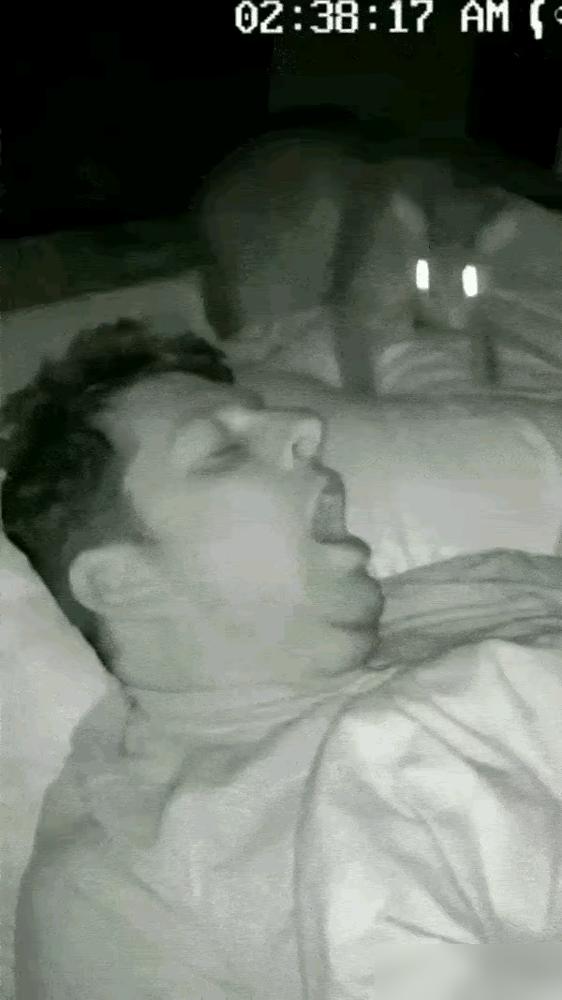 笑喷了！真的奉劝所有养猫的朋友，睡觉爱张嘴呼吸这个毛病赶紧改！我家之前也遇上