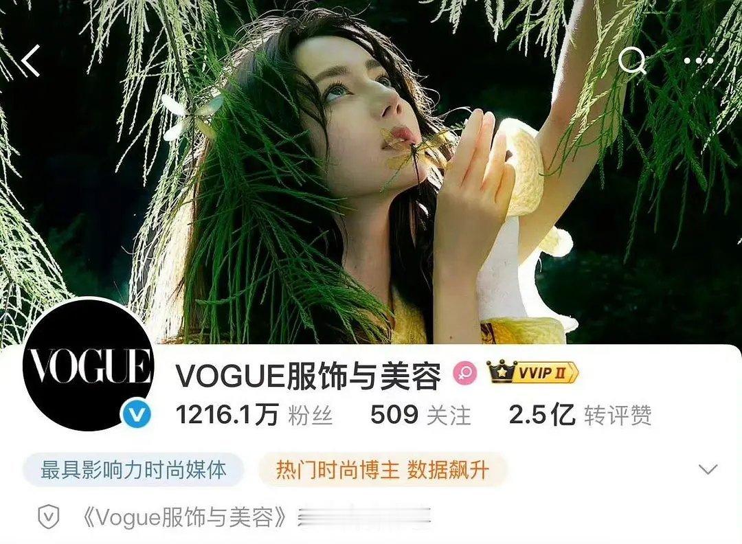 还是得有实绩！！VOGUE封面都换成迪丽热巴了