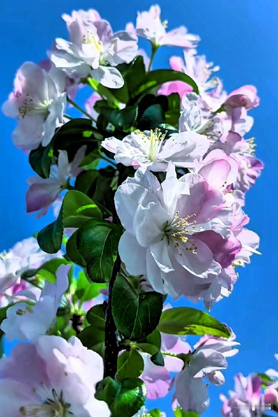 不知道是谁说的这段话，太清醒了。“人一定要疯狂爱上什么东西，才不至于被这无趣