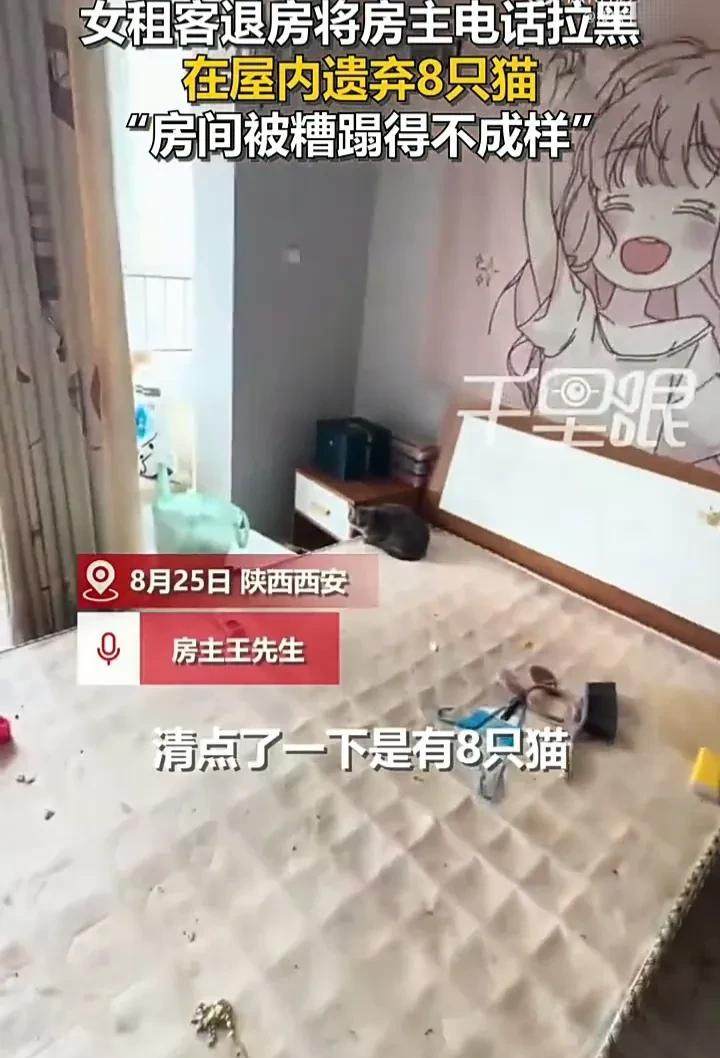 既然养了宠物，就应该对它负责！近日，陕西西安一位女租客退租后，答应房东离开前会把