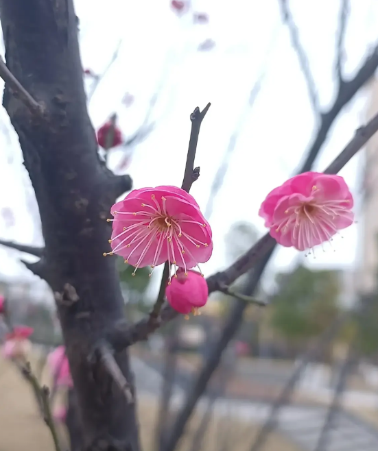 莫说高中周末双休，就是初中，也有多少学校没双休啊。周末双休的话，是不是星期五下