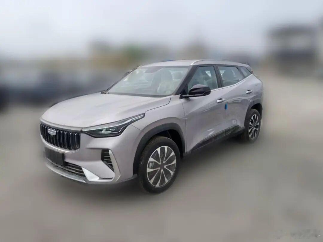 吉利博越销售反馈：1，买博越的客户男女比例64开，年纪上20出头的年轻人占多数，