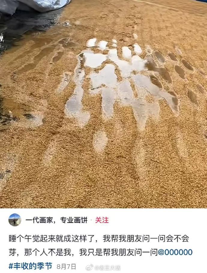 没有清华北大录取通知书就准备上农村最高军事法庭吧​​​