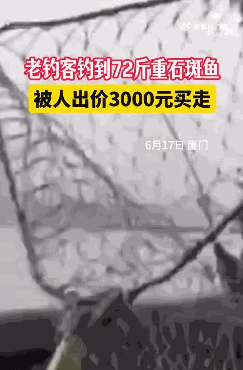 “这就是命啊！”6月17日，福建厦门，一男子冒雨在河边钓鱼时，竟钓上来一条72斤