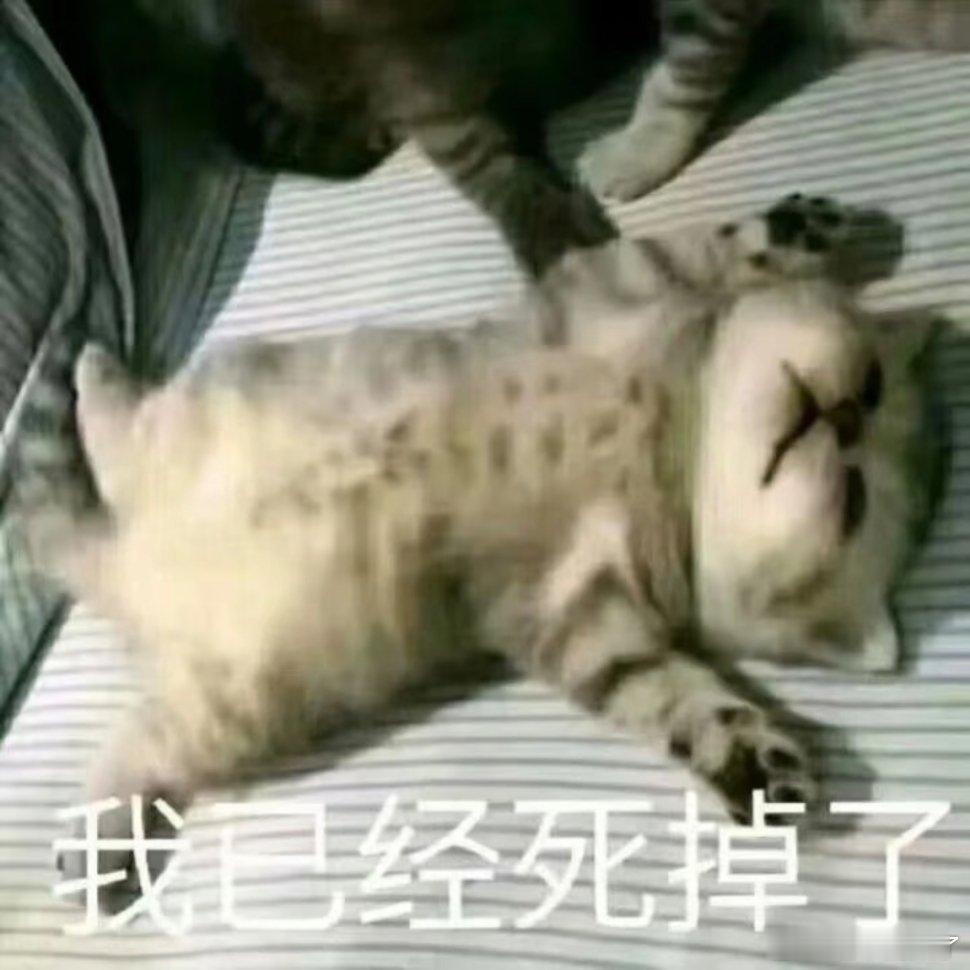 搞笑表情包分享！