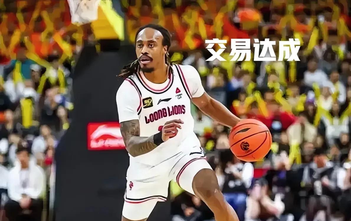 总算有点消息了！麦考尔下树！虽然不是顶级，但价格性价比来说超值了，比狮子大开