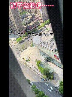 裤子流浪记……好心人帮我分析一下，此刻主人的内心世界……这是一条忠诚的，恋家