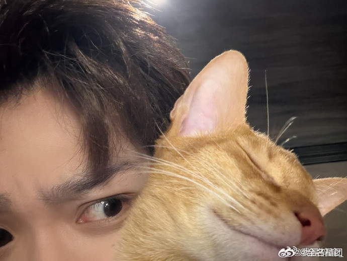 梓渝和大鱼小十一猫咪合照梓渝晒大鱼小十一合照谁能拒绝！梓渝晒出和大鱼小十一的合照