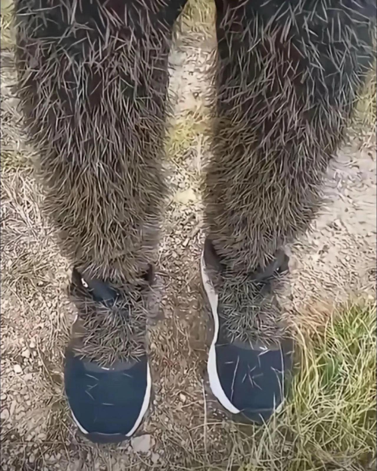 上山一趟怎么办