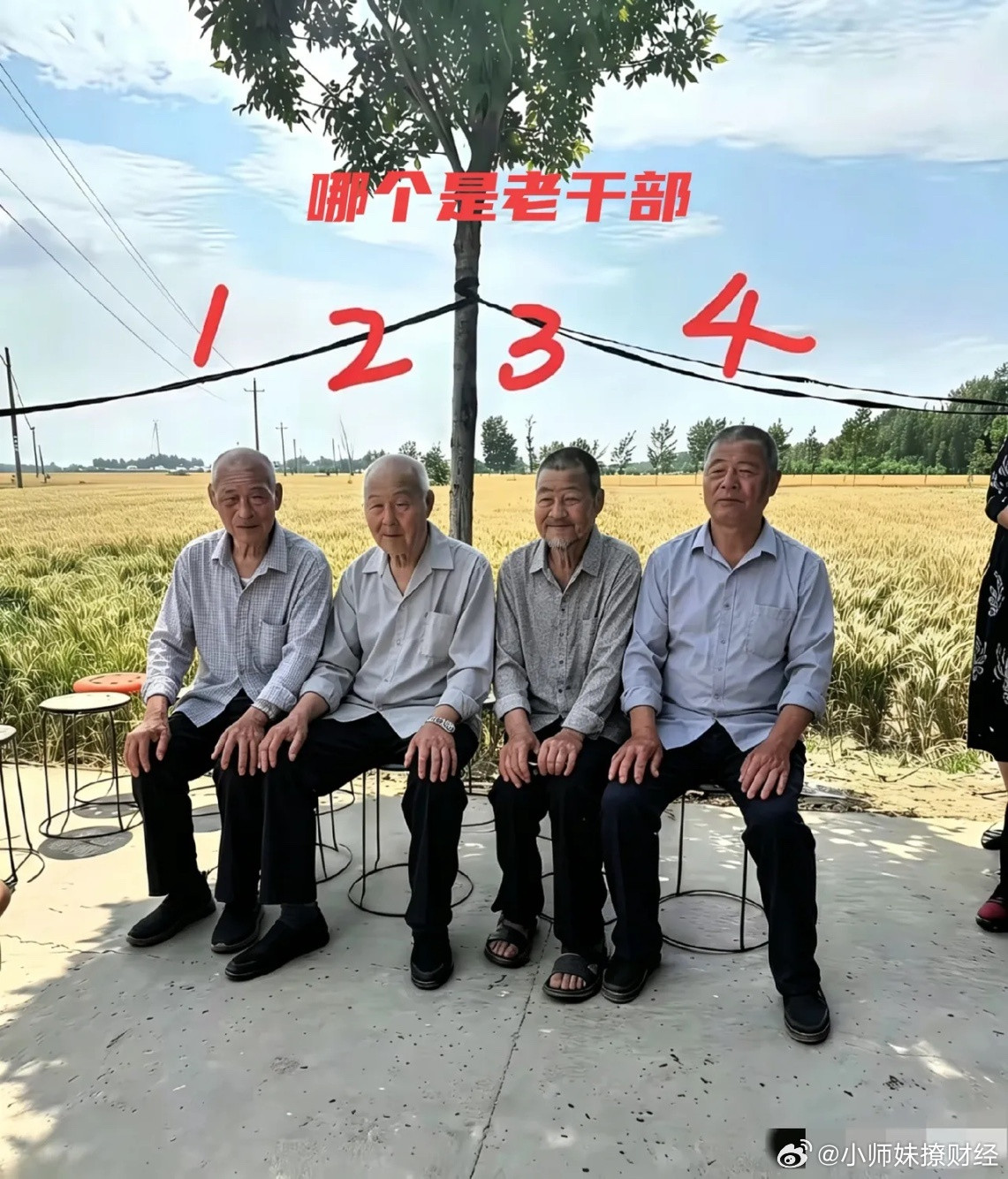 考眼力！四个大爷当中，有一个是退休老干部，凭直觉你能看出来吗？