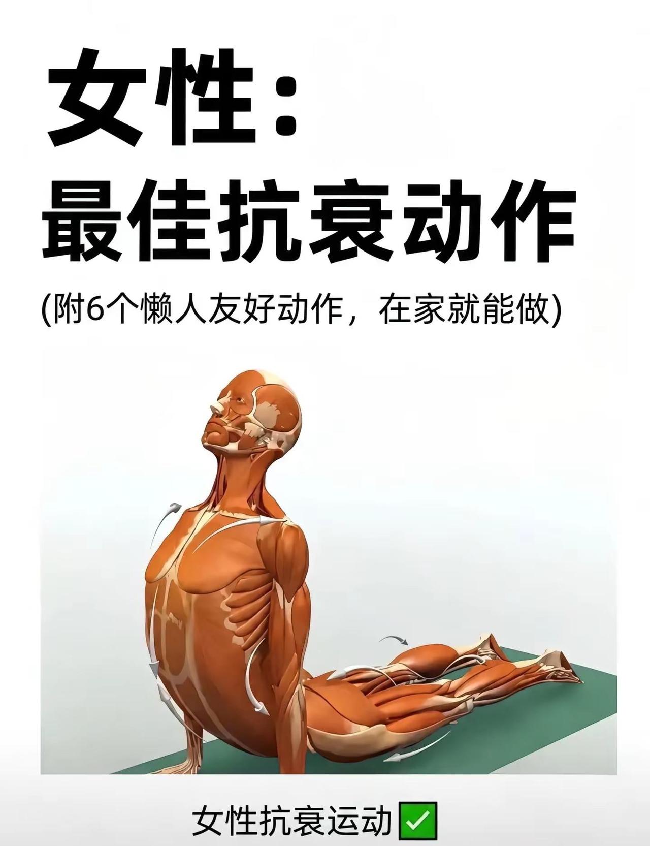 居家练习六个动作｜瘦瘦瘦全身🔥。零基础学瑜伽一年半，获得的不只是体式，更多的身