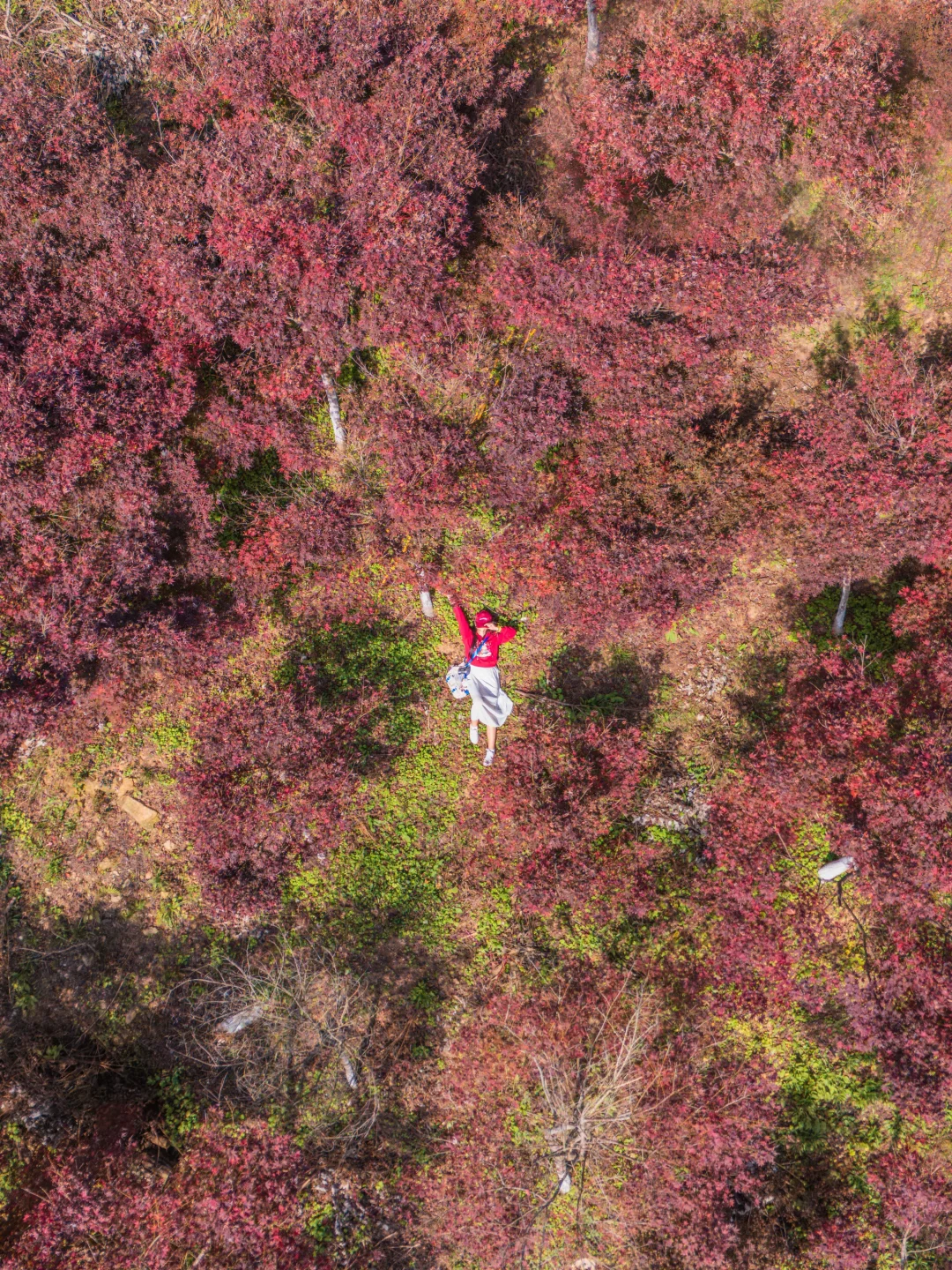 武汉自驾1.5h的小九寨！红枫美疯了🍁人少❗️